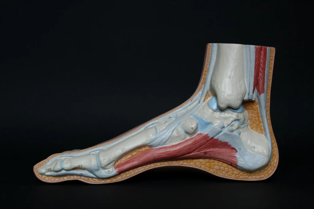 Orthopedic medical billing